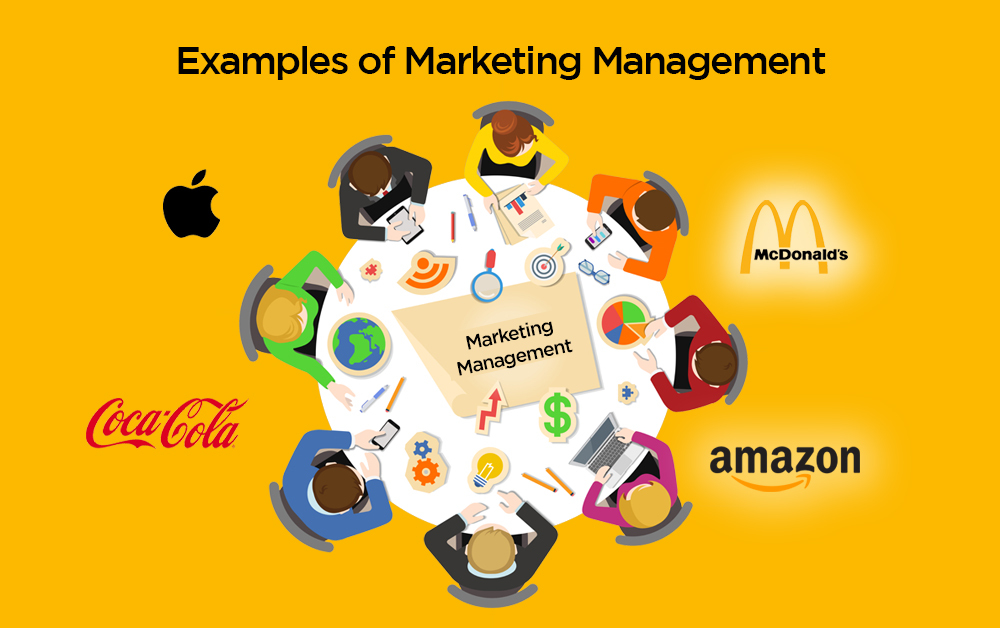 Management & Marketing